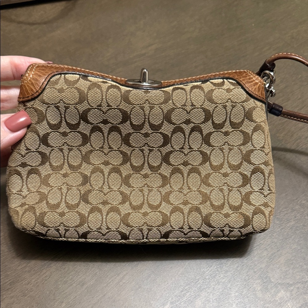 Brown Patterned Women's Bag